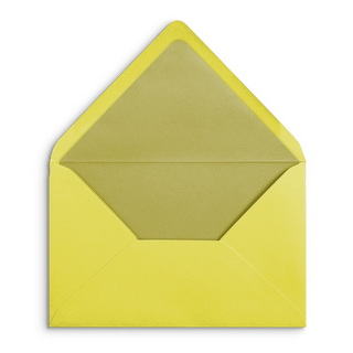 Envelope Liners (Solid Color)